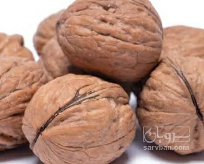 فروش گردو