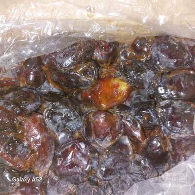 فروش خرما