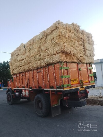 فروش کاه و کلش گندم