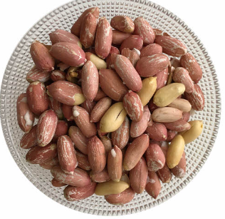 فروش بادام زمینی