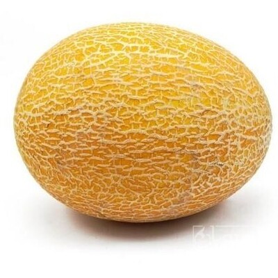 فروش راک