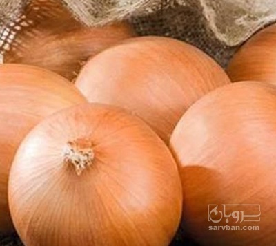 فروش پیاز زرد