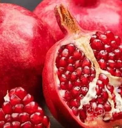 فروش انار