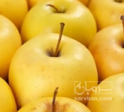 فروش سیب زرد