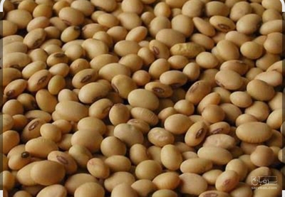 فروش سویا