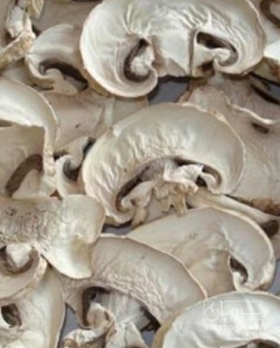 فروش قارچ دکمه ای اسلایسی خشک