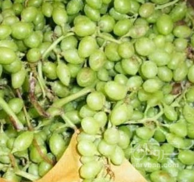 فروش غوره