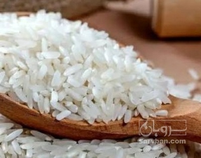فروش برنج سرگل هاشمی