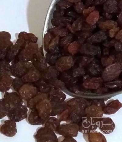 فروش کشمش خرمایی