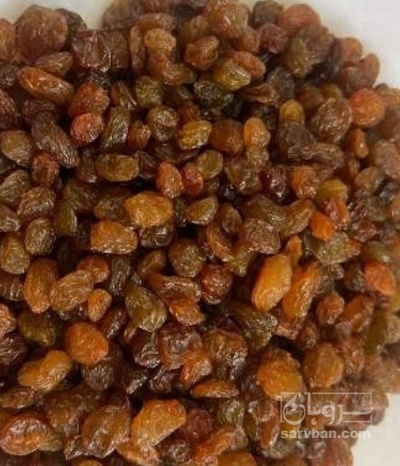 فروش کشمش افتاب خشک