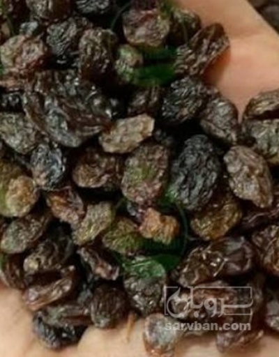 فروش کشمش بوانات