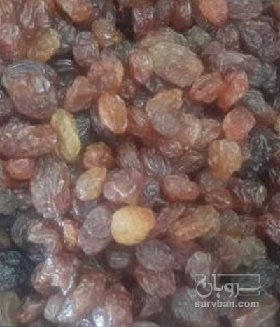 فروش کشمش پلویی