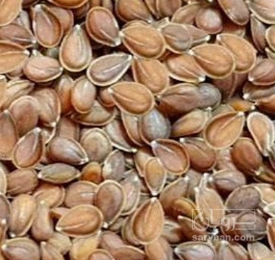 فروش کتان (گیاه الیافی)