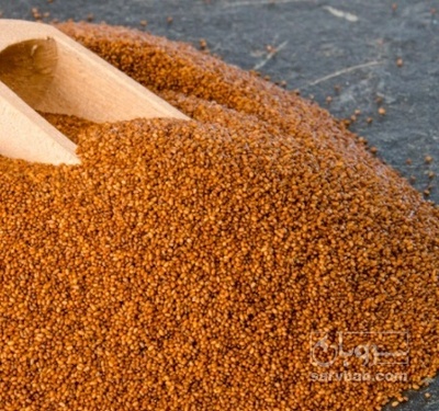 فروش خاکشیر (گیاه‌ دارویی)