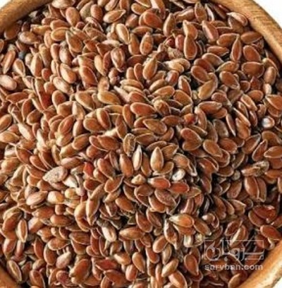 فروش کتان (گیاه الیافی)