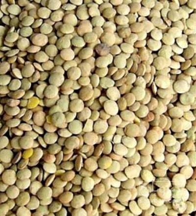 فروش عدس