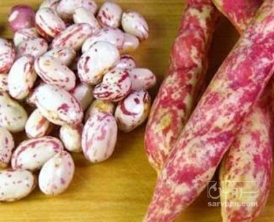 فروش لوبیا چیتی