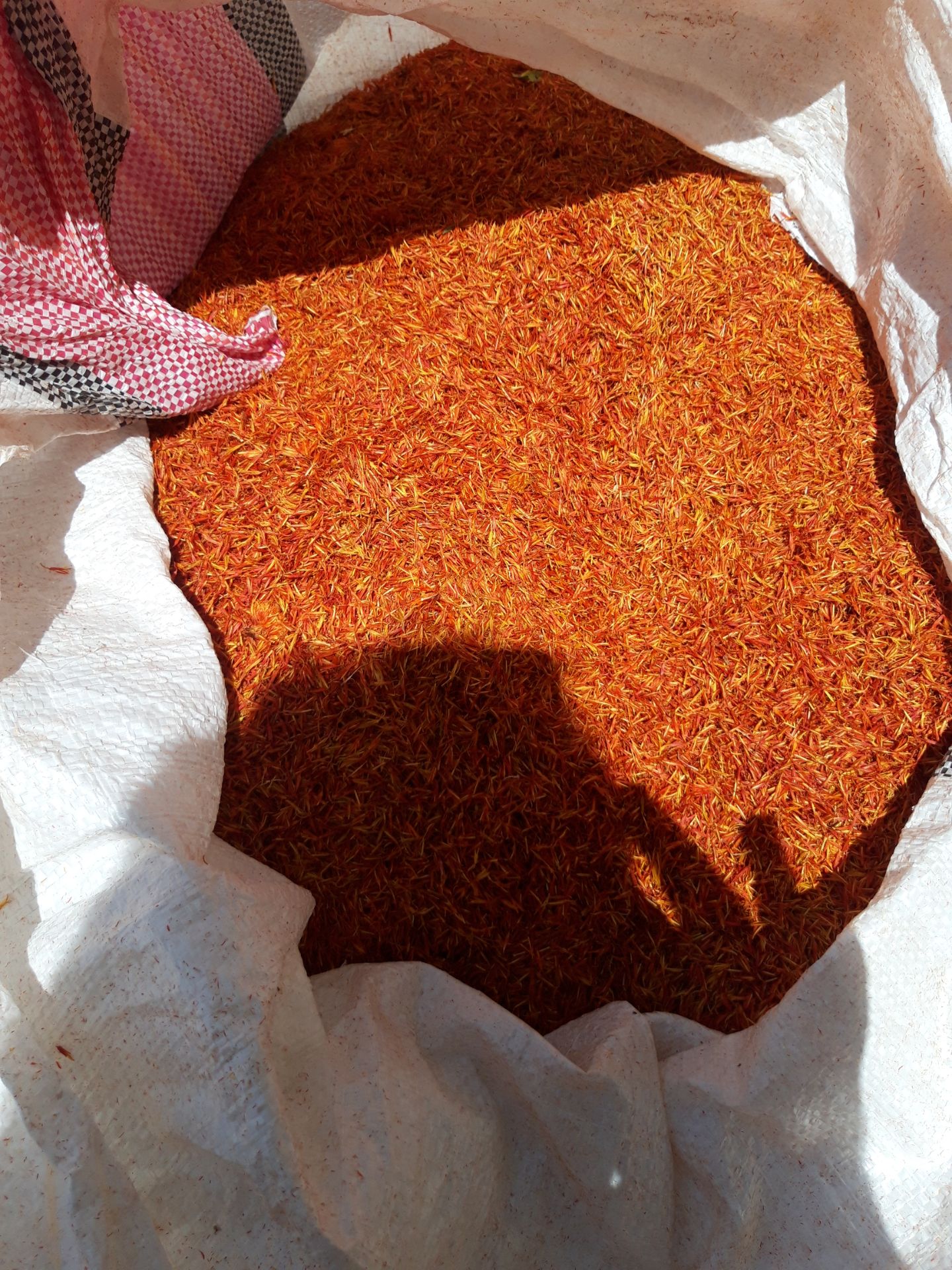 فروش گلرنگ ( ادویه جات )
