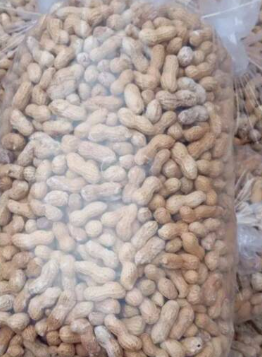فروش بادام زمینی گلی