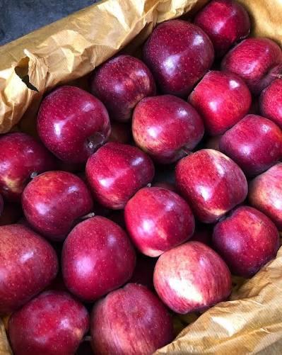 فروش سیب صادراتی عمده رو درختی و سردخانه ای