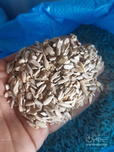 فروش مغز شکسته  تخمه آفتابگردان