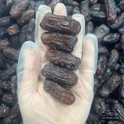 فروش خرما