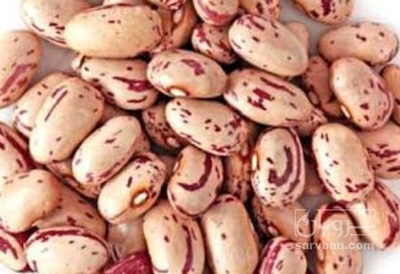 فروش لوبیا چیتی