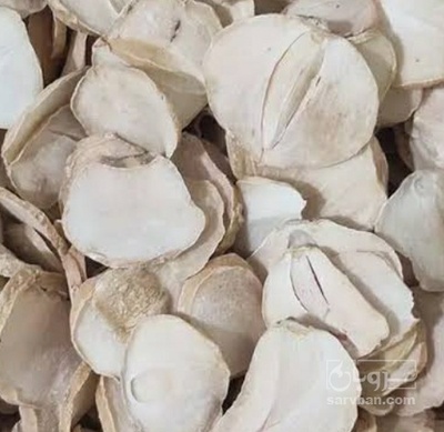 فروش موسیر اسیابی