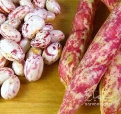 فروش لوبیا چیتی