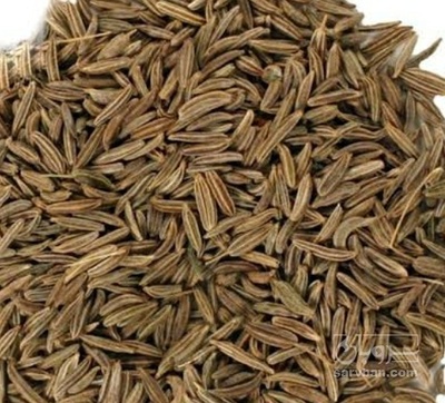 فروش زیره (گیاه‌ دارویی)