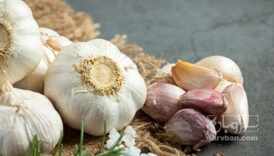فروش سیر