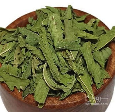 فروش نعناع خشک (گیاه‌ دارویی)