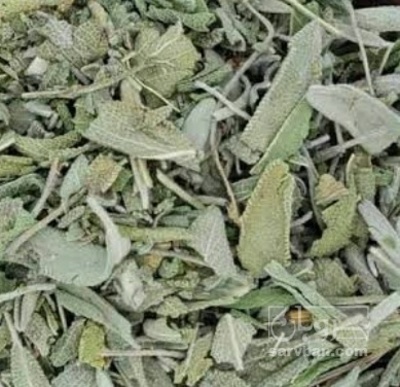 فروش مریم گلی (گیاه‌ دارویی)