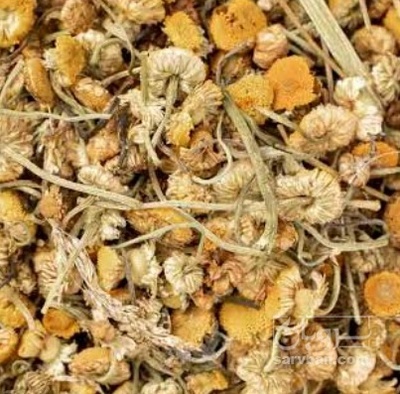 فروش بابونه (گیاه‌ دارویی)