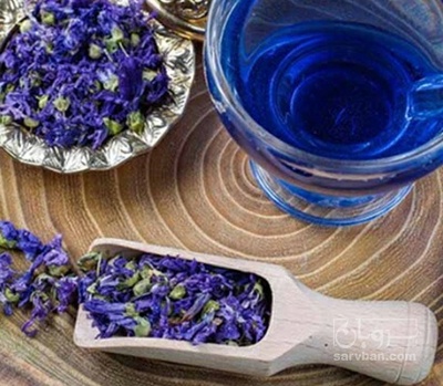 فروش گل گاو زبان - گاوزبان (گیاه‌ دارویی)