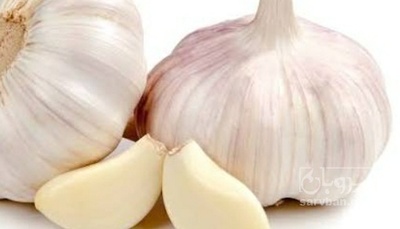 فروش سیر