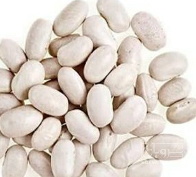 فروش لوبیا سفید