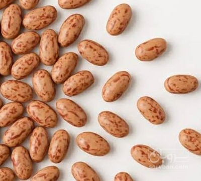فروش لوبیا چیتی
