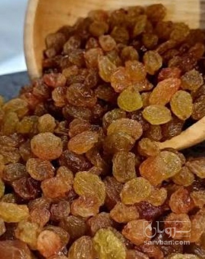فروش کشمش بوانات