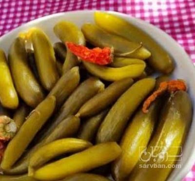 فروش خیار شور ویژه