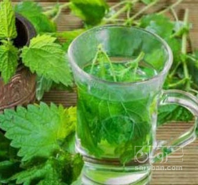 فروش عرق نعناع