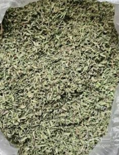 فروش آویشن خشک (گیاه‌ دارویی)