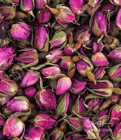 فروش گل محمدی (گیاه‌ دارویی)