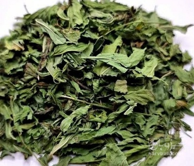 فروش نعناع خشک (گیاه‌ دارویی)