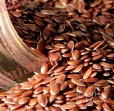 فروش کتان (گیاه الیافی)