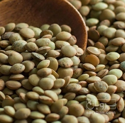 فروش عدس