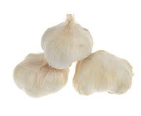فروش سیر خشک