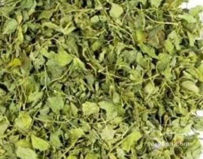 فروش شنبلیله (گیاه‌ دارویی)