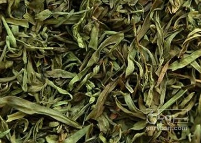 فروش ترخون (گیاه‌ دارویی)