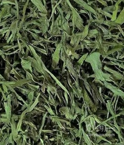 فروش تره خشک